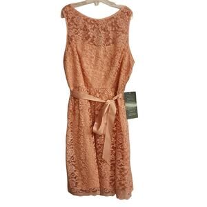 Simply Liliana Blush Lace Overlay Dress, Size 16